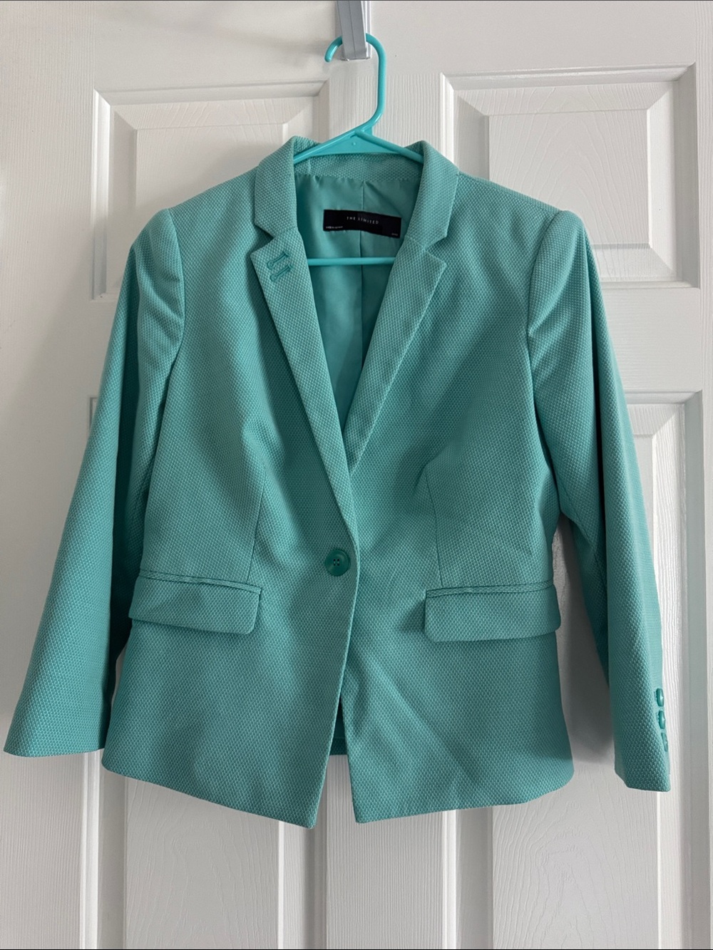 The Limited Teal Single-Button Textured Blazer